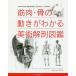  мускул *.. движение . понимать изобразительное искусство анатомия иллюстрированная книга / and las*snnyogii/gyorugi*fehe-ru/ Nara доверие самец 