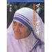  mother * teresa крюк . нет love. ../...