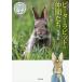  Peter Rabbit. компания .. фотоальбом /. 10 дерево ../. рисовое поле ..