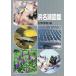  Hamana озеро иллюстрированная книга / криптомерия .. самец 