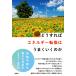 .. если так энергия преобразование. хорошо ... ./ Maruyama ../ запад замок дверь .