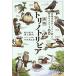 tolinotoli Via птицы . человек . тайно объяснить дикая птица. секрет 100/ река сверху мир человек / река сверху мир человек 