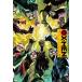 X-MEN Vol.1/ Jerry *da gun / высота дерево .