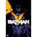 BATMAN VOL.1/ chip *zda- лыжи / средний ...