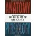  медицинская помощь .. человек поэтому. анатомическая физиология ./JAHANGIRMOINI/ Matsumoto оригинальный Хара 