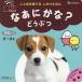 na....?..../ Honda kayo./ ребенок / книга с картинками 