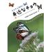  простой идентификация!. близко .chou/ лес земля -слойный ./ Shimizu ../ внутри гора Kiyoshi город 