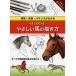 -HORSE-.... лошадь. .. person ..* сырой .* баланс . понимать / Jennifer * bell / Inoue ..