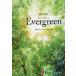  обобщенный английский язык Evergreen Keep the Forest Evergreen/.takayuki/ Kawasaki . человек / Kubota . прекрасный 