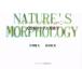  nature z*moruforoji- натуральный зуб .... форма .