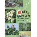  дорога . только .. под ногами. природа . видеть .../ три ....
