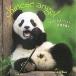 . Panda для .../ Садо много подлинный .