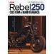  Honda Rebel 250 custom &amp; техническое обслуживание 