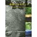  лес .(..). Rene солнечный s.. человек из будущее к отправка /. индустрия экономика изучение место 