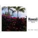 Hawaii приятный .. остров /.. один 