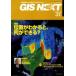 GIS NEXT 21