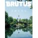 BRUTUS( голубой tas) 2025 год 10 месяц 15 день номер 