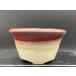  Хориэ прекрасный .. песок . Marusan пара горшок 2.5 номер (8.5cm)