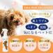 �����N���A �X�L���P�A �X�v���[ 180ml | �� ������ �畆 �� �ێ� �� ���ϐ� ���[�V���� �{�f�B�X�v���[ �y�� ����� �Ԃ� �y�b�g �L 1�{ �������� �֘A�摜1