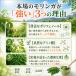�������K 100% ���Y�� �L�@JAS ���_�� �������K�T�v�� ���x100% ���F�� �ۑ��� �s�g�p �a���� �������K�K�� 180�� moringa �֘A�摜4