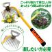 ����蓹�� ������ �c�[�� ������ �� �L ��� ������ �G������ �G����� 11�� ���ނ��� �G�� �� �������� ���� �� �������� ���� �� �������� �� �|�� ���ԏ�