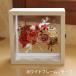 | �v���U�[�u�h�t�����[ | �v���[���g �a���� �� �M�t�g �u�p�[�e�B�V�����̃t�����[�{�b�N�X�v �u���U�[�h�t�����[ �����j �ސE�j �֘A�摜2