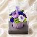 | �v���U�[�u�h�t�����[ | ���� ���d ���~ ������� ������ ���~ ���ފ� �� ���� �͂�Ȃ� �u�r�؁i�������j�v �M�t�g �t�����[�M�t�g �֘A�摜4