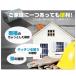 �������� �t�@�X�g�t���b�V�� �ň��l �h���V�[�g 28cm 1m 280mm �^�C�Z�C �J�R�� ���\�h���V�[�g fast flash ���K�̔��X 403 �֘A�摜4