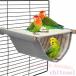  игрушка птица маленький магазин мелкие животные дом. гнездо bird палатка длиннохвостый попугай жердочка птица zonchi- хомяк teg-. подходит интеллектуальное развитие палец . тренировка подарок рост поддержка 