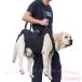  уход . собака уход для товары для ухода уход для Harness собака приспособление для ходьбы Harness домашнее животное zonchi- Harness уход сопутствующие товары маленький размер собака средний собака большой собака . собака . применение товары для домашних животных домашнее животное товары 