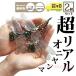 oniyama2 шт. комплект 12cm репеллент инсектицид 2 шт фигурка ремешок .....zonchi- модель шляпа Golf брошь безопасность булавка стрекоза насекомое уличный 