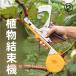  садоводство для tying machine лента na- сменный приятный .. растения веранда поле простота установки инсектицид меры zonchi- наружный для практический удобный удобный рекомендация выбор ...tei Lee многоцелевой 