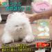 ���܂���ڂ��q�˂������ �I���W�i�������b�Z�b�g �x�b�h�A�����A�d�r10�񕪁A���ʃV�[���̂������Z�b�g�I 4560386967848