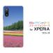 XPERIA Ace II SO-41B ڥꥢ  ޡġ docomo ޥۥ ޥۥС ϡɥ/եȥ ޥۥ ʪ  Ȫ
