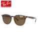  RayBan солнцезащитные очки RB4259F 710/73 53 Asian Fit Boston панцирь черепахи RayBan за границей стандартный товар UV cut подарок подарок мужской женский 