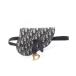  Dior SADDLE седло ob утечка бренд off Dior парусина сумка-пояс Jaguar do б/у reti-