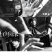 LOSER / ƻ (̾) [CD] NEWS