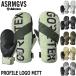 25-26 ASHRAM/ashu Ram PROFILE LOGO MITT Pro файл Logo рукавица рукавица перчатка Gore-Tex перчатки мужской женский сноуборд лыжи 2026 type ..