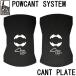 POW CANT SYSTEM/pau can to система CANT PLATE can to plate крепления сноуборд почтовая доставка соответствует 