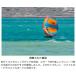 STARBOARD x AIRUSH �X�^�[�{�[�h �G�A���b�V�� FREEWINGGO �t���[�E�B���O�S�[ 6.5���� �E�C���O�t�H�C�� WING FOIL �֘A�摜2