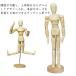  кукла из дерева 20cm украшение модель кукла te Sand -ru Poe Gin g кукла Poe Gin g модель ... материалы для рисования предметы интерьера изобразительное искусство скетч .. передвижной 
