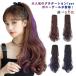 �������� �E�B�b�O �O���f�[�V���� �|�j�[�e�[�� �����O ���R ���� �J���[�G�N�X�e ���R wig �E�C�b�O �J�[�� ���� �w�A�A�����W �c�[�g��