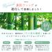 ��×p�E�B�b�O �f���E�B�b�O �| ���K �E�B�b�O �V���[�g �{�u �~�f�B�A�� ���f�B�[�X �n�C���C�g ���R �t���E�B�b�O �o���Ȃ� ���� �R����� ���� FKR �֘A�摜2