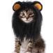 Halloween домашнее животное головной убор маскарадный костюм костюм головной убор длина .. собака кошка для домашних животных костюмированная игра лев собака одежда кошка одежда 