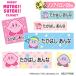  имя наклейка звезда. машина bi.KIRBY MUTEKI! SUTEKI! CLOSET non утюг бирка для ткань стирка OK утюг не необходимо европейская одежда одежда бесплатная доставка PR