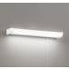 �y�䂤�p�b�N���������z�I�[�f���b�N OB255231 LED �L�b�`�����C�g �����F / ODELIC