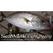 [yamaga blank ssi- walk light jigging 65M Bait модель ]YAMAGA BLANKS Seawalk Light Jigging 65M Baitmodel
