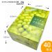 �y�V���C���}�X�J�b�g C���@2kg�z40�����@�Q�[�p�@�Q�L���p�@�V���C���}�X�J�b�g�M�t�g�p���ϔ��@�ʕ����@�@�iAA6761�j