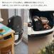 ���� bugaboo �o�K�u�[ �h���S���t���C �v���X �x�[�X �T���L���m�s�[ �R���v���[�g�Z�b�g Bugaboo dragonfly Plus 4�N�ۏ� �x�r�[�J�[ AB�^ A�^�x�r�[�J�[ �֘A�摜4