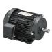 ľʡ  TOSHIBA ץߥॴɥ⡼ȥ IKH3 FBKAW21E 4P 3.7KW 400V (fbkaw21e4p3k7v4) ԵӼա